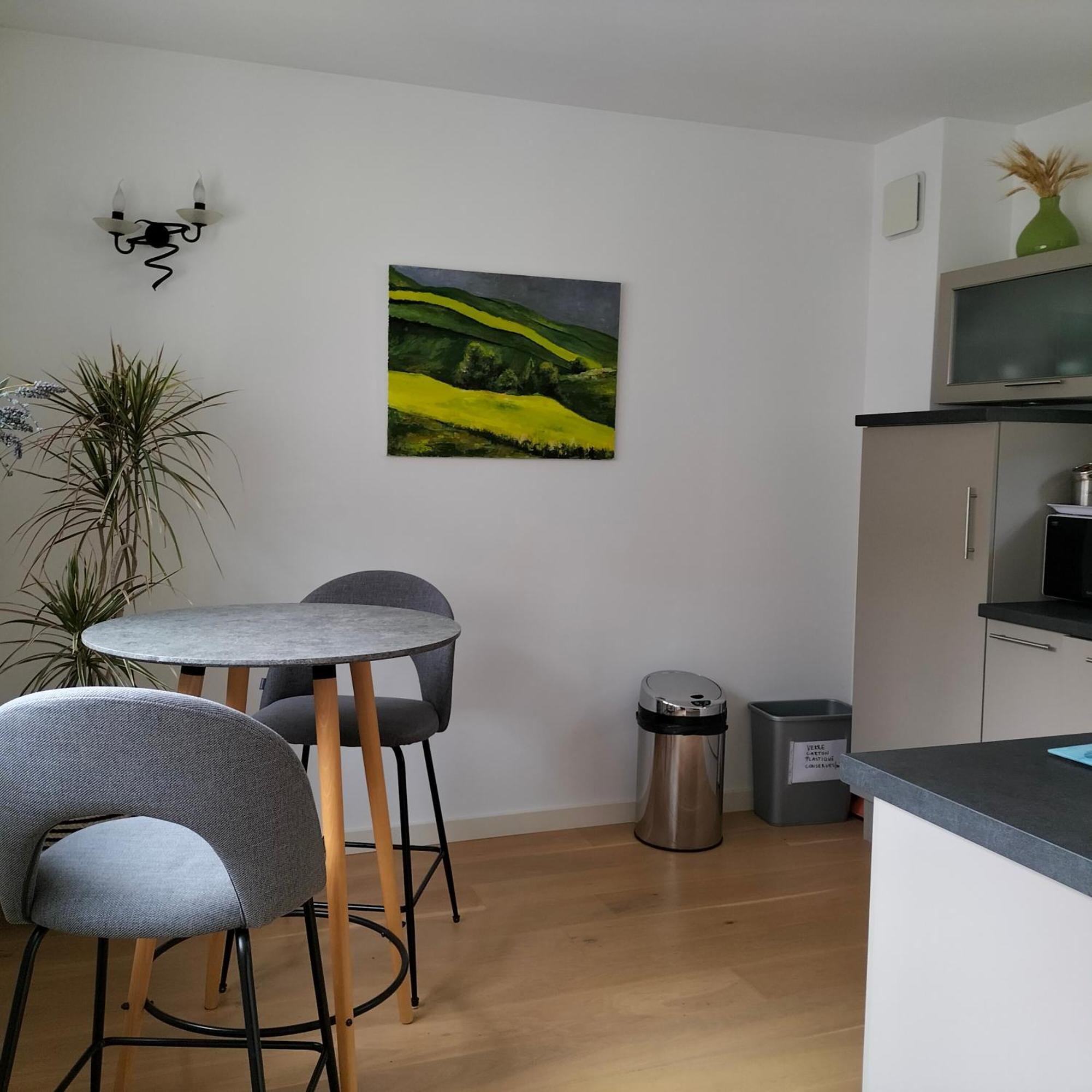 Appartement Salamandre Orléans Dış mekan fotoğraf