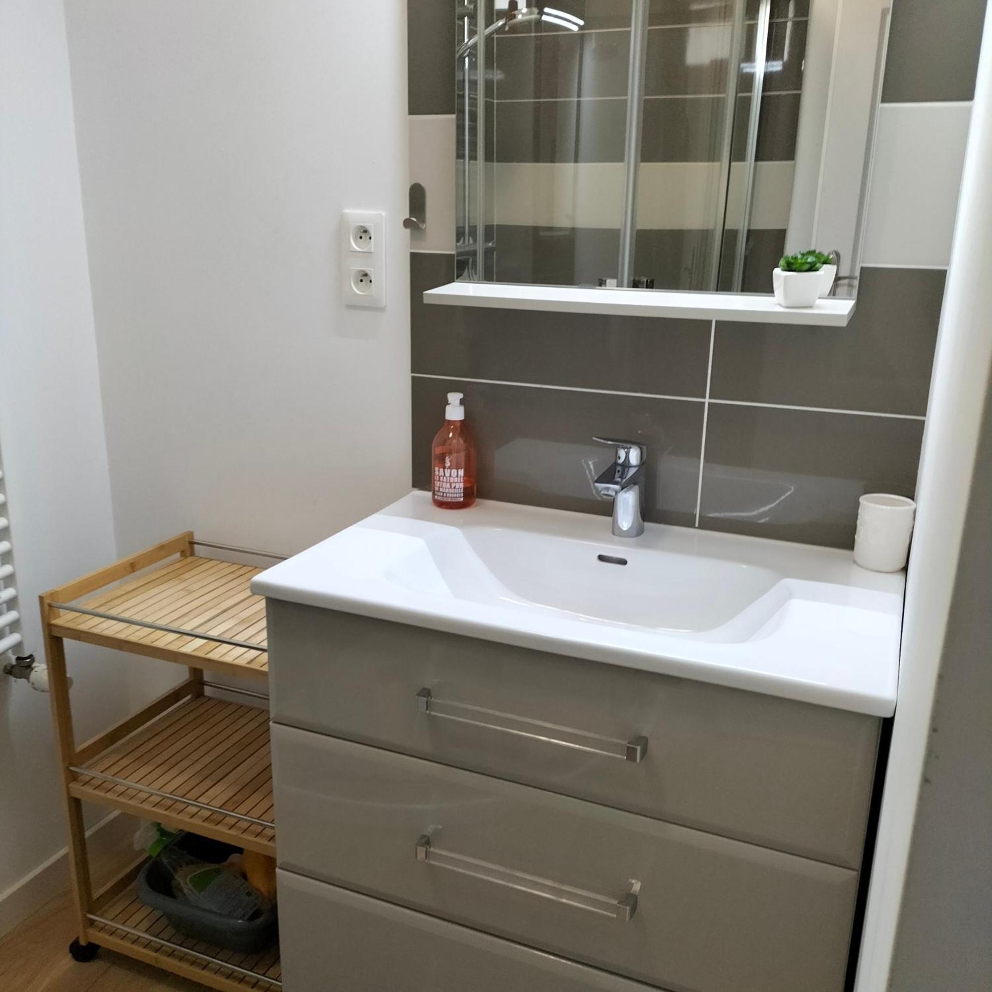 Appartement Salamandre Orléans Dış mekan fotoğraf